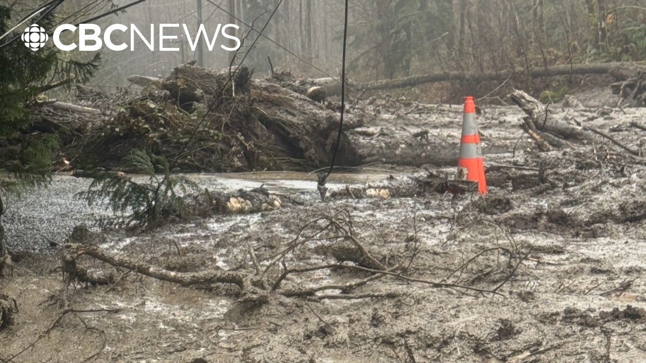 Жители вспоминают, как их эвакуировали по воздуху из района оползня в Коквитламе.