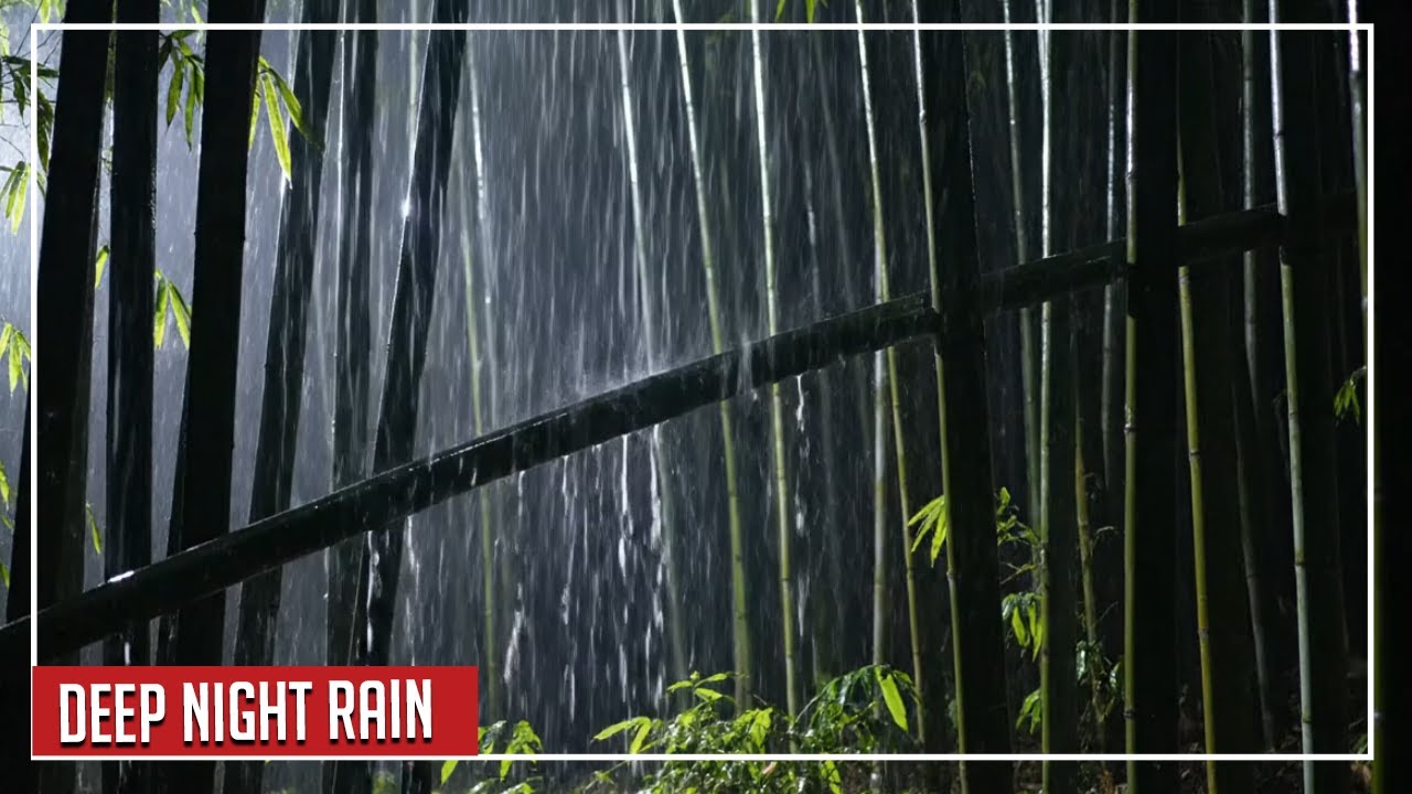 Gentle Rain in Bamboo Forest at Night 🌧️ 10 Hours for Deep Sleep & Insomnia Relief