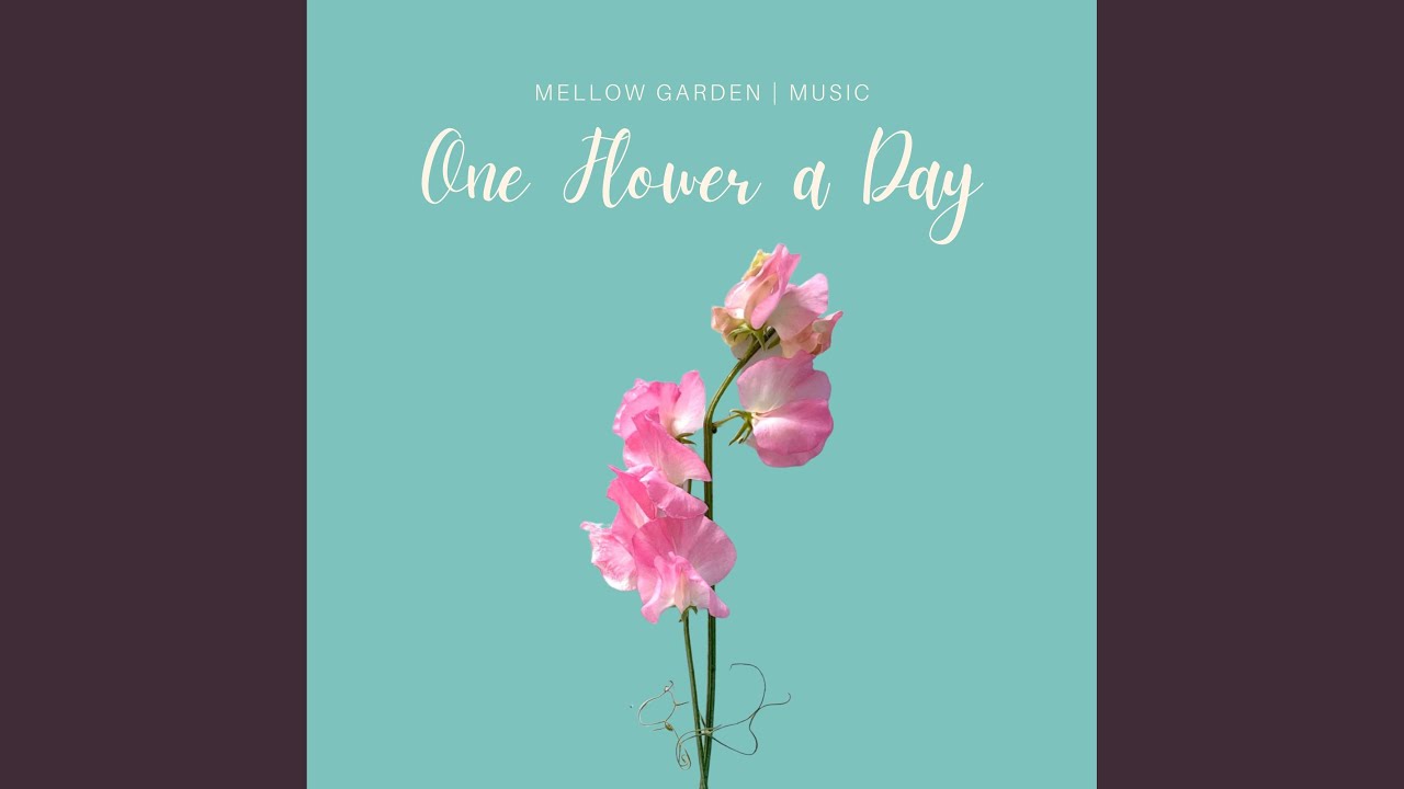 One Flower a Day