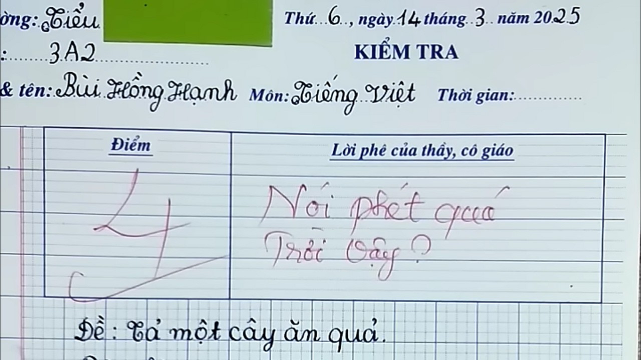Top 10 Bài Kiểm Tra Bá Đạo Khiến Thầy Cô Nghẹn Họng Cứng Đơ