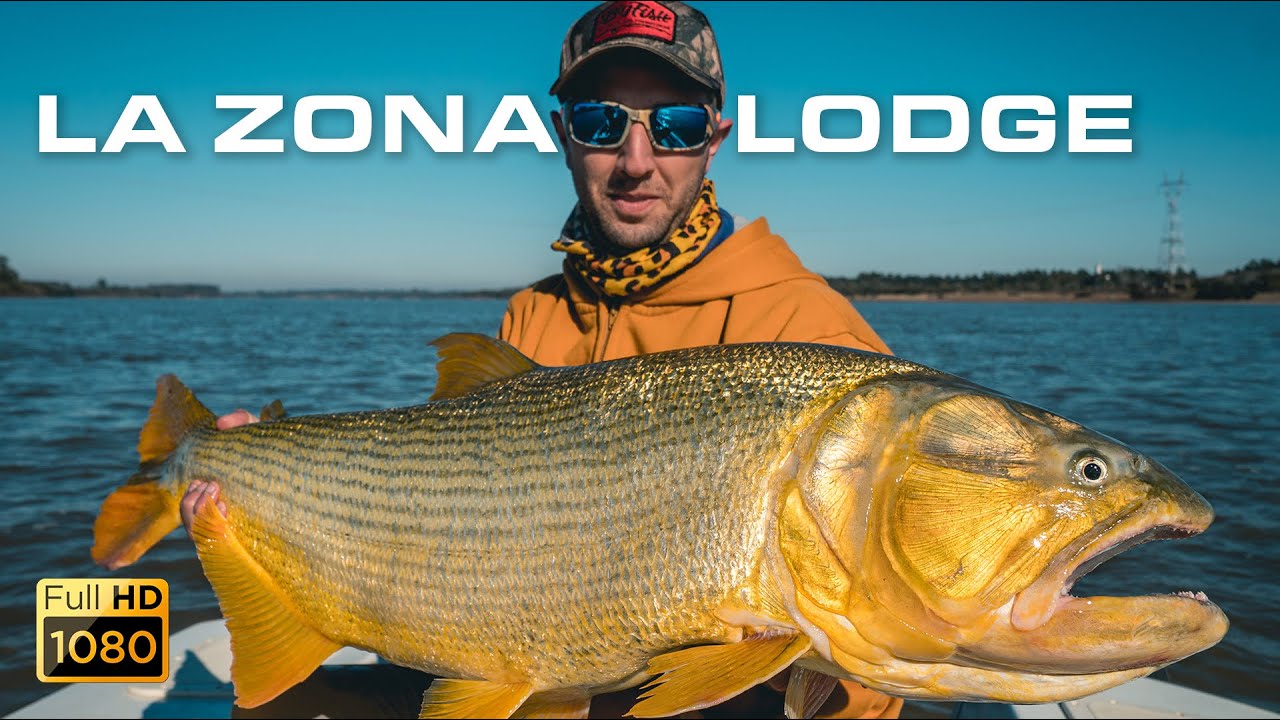 LOS DORADOS MÁS GRANDES DEL MUNDO - La Zona Lodge