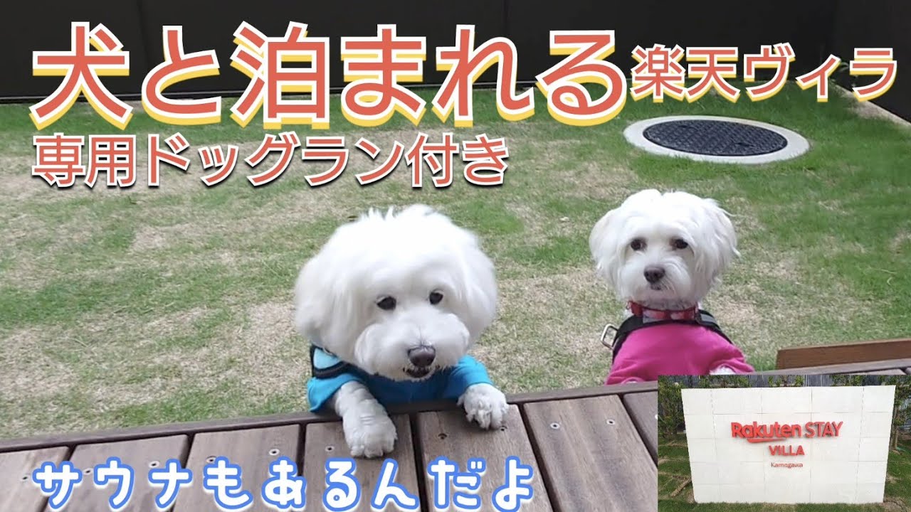 アザラシの声が聴こえる！海辺のリゾート｜Rakuten STAY VILLA 鴨川