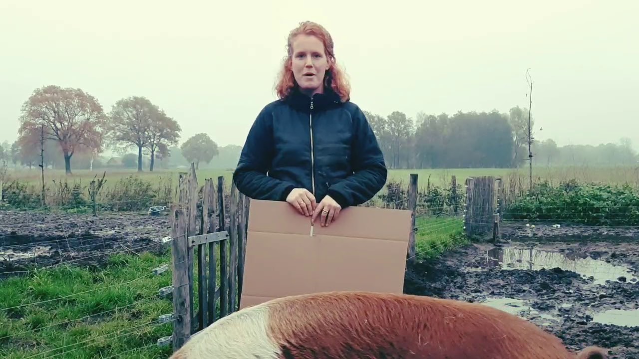 De Goed Gevulde Worstbox Verloting