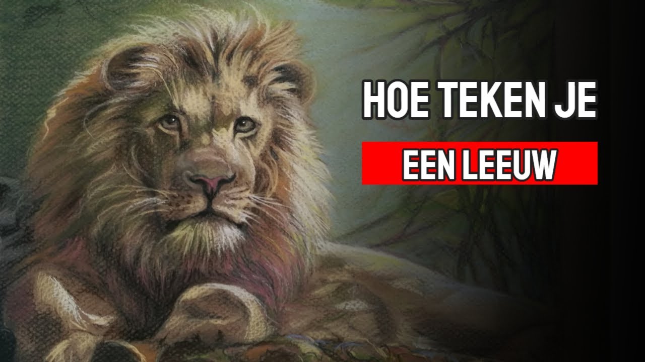 Hoe teken je een Leeuw met pastel potloden beginners