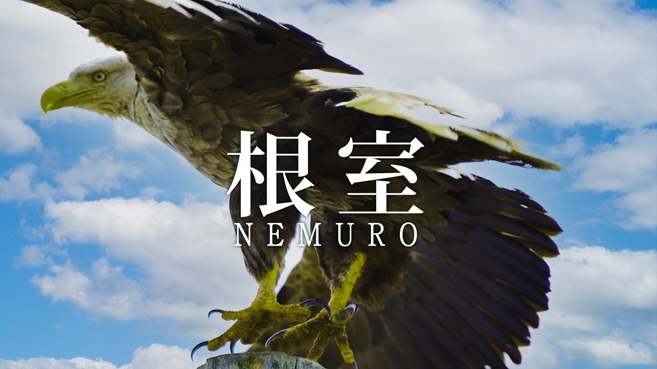 Nemuro Hokkaido Japan in 4K - 北海道 根室市