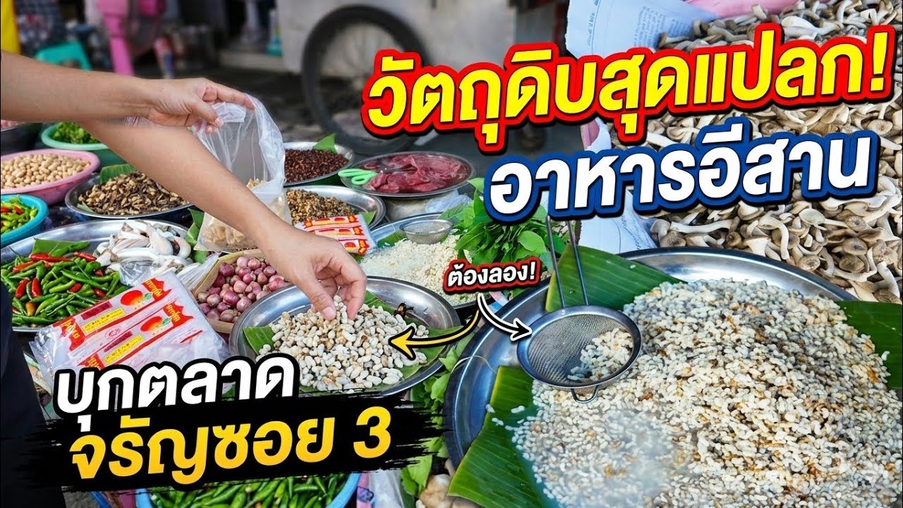 วัตถุดิบในการทำอาหารอีสาน  จรัญซอย3