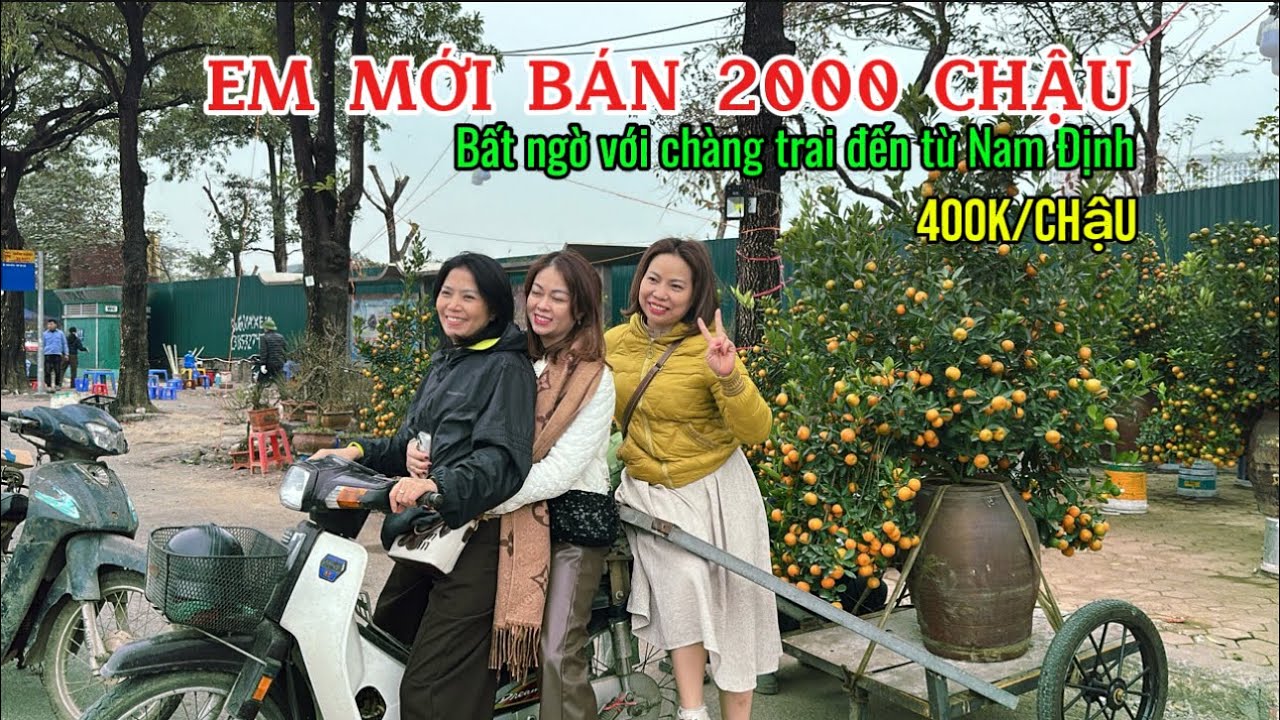 Từ đầu vụ em bán 2000 chậu rồi . Thị trường xôi động tại chợ hoa Mỹ Đình ngày cận tết | Quảng Tùng
