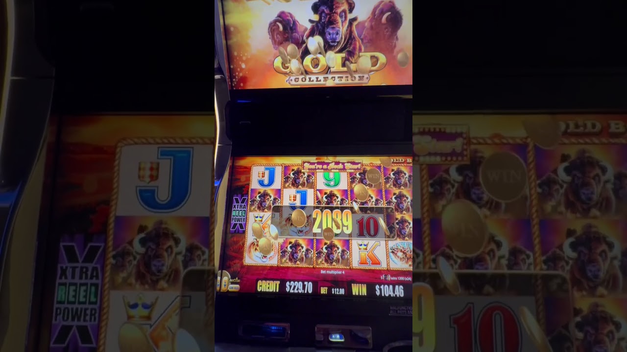 Buffalo slot machine win! #BuffaloGold #BigWin #HawaiianLuck #slots #casino #gambling #foryoupage