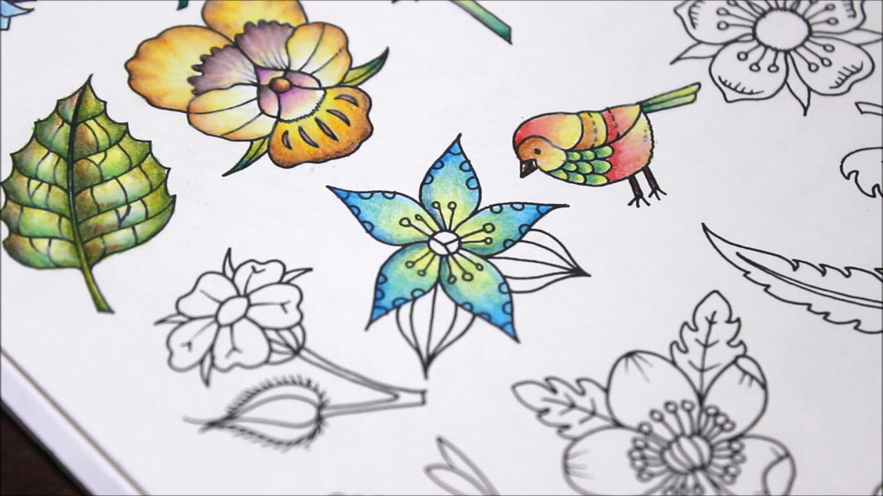 Flower Coloring - Ivy and the Inky Butterfly