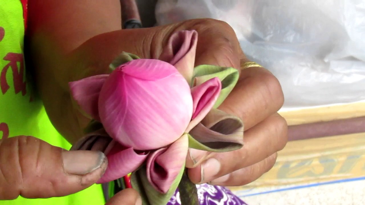 วิธีพับ กลีบดอกบัวแบบง่ายๆHow to fold lotus petals