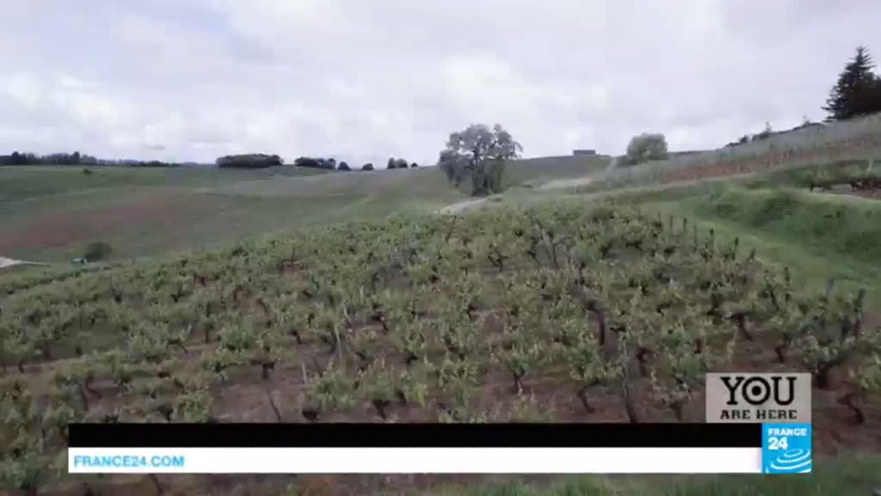 France: Escape to the Jura Vineyards!