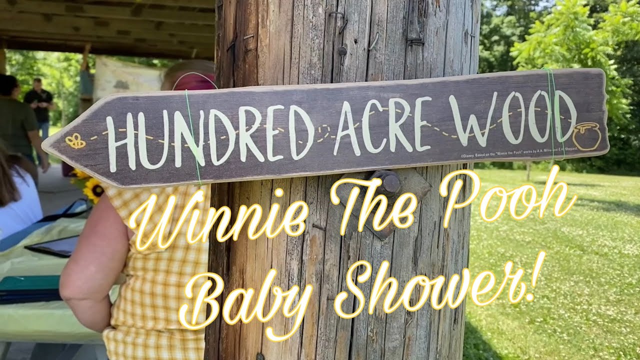 Going To The Most Perfect Winnie the Pooh Baby Shower!
