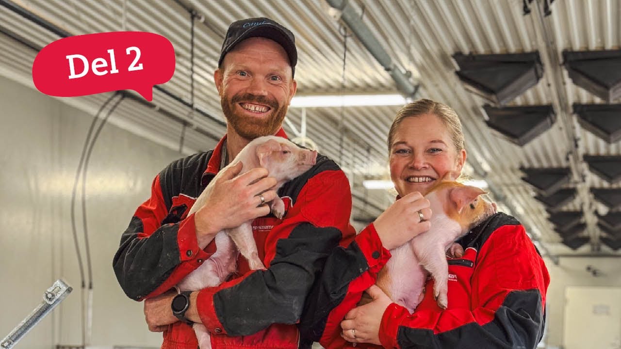 Smart teknologi for optimale drift hos Brede Bacon – Del 2