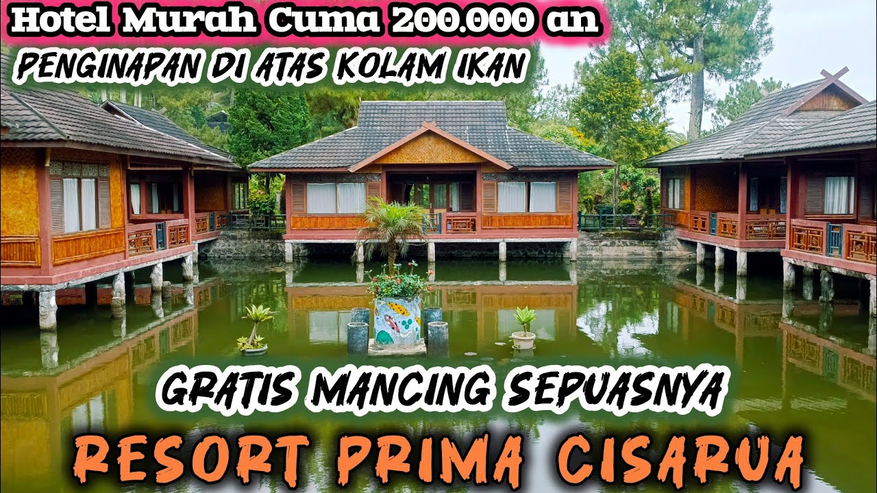 PENGINAPAN DI ATAS KOLAM IKAN || RESORT PRIMA CISARUA