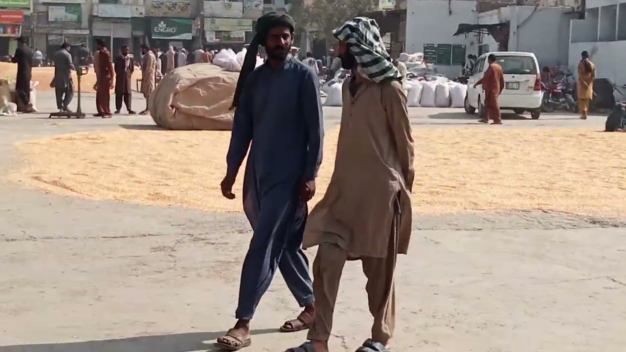 Pakpattan galla Mandi makki rate 3400