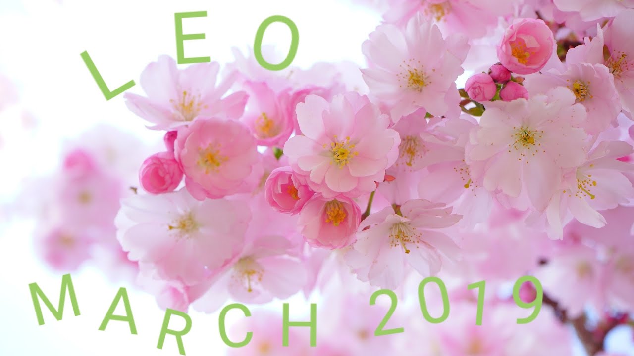 🌏LEO, 🕊💗🌏HEALING, FREEDOM & FULFILLMENT! MARCH 2019 TAROT!