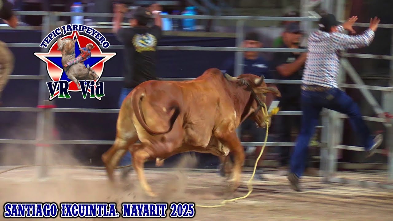 ¡¡CAPORALES EN PROBLEMAS!! JARIPEO EN EL 13vo. CAMPEONATO DE CABALLOS BAILADORES SANTIAGO IXCUINTLA