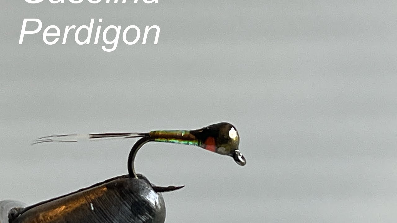Pocket Water Fly Fishing Presents: Gasolina Perdigon