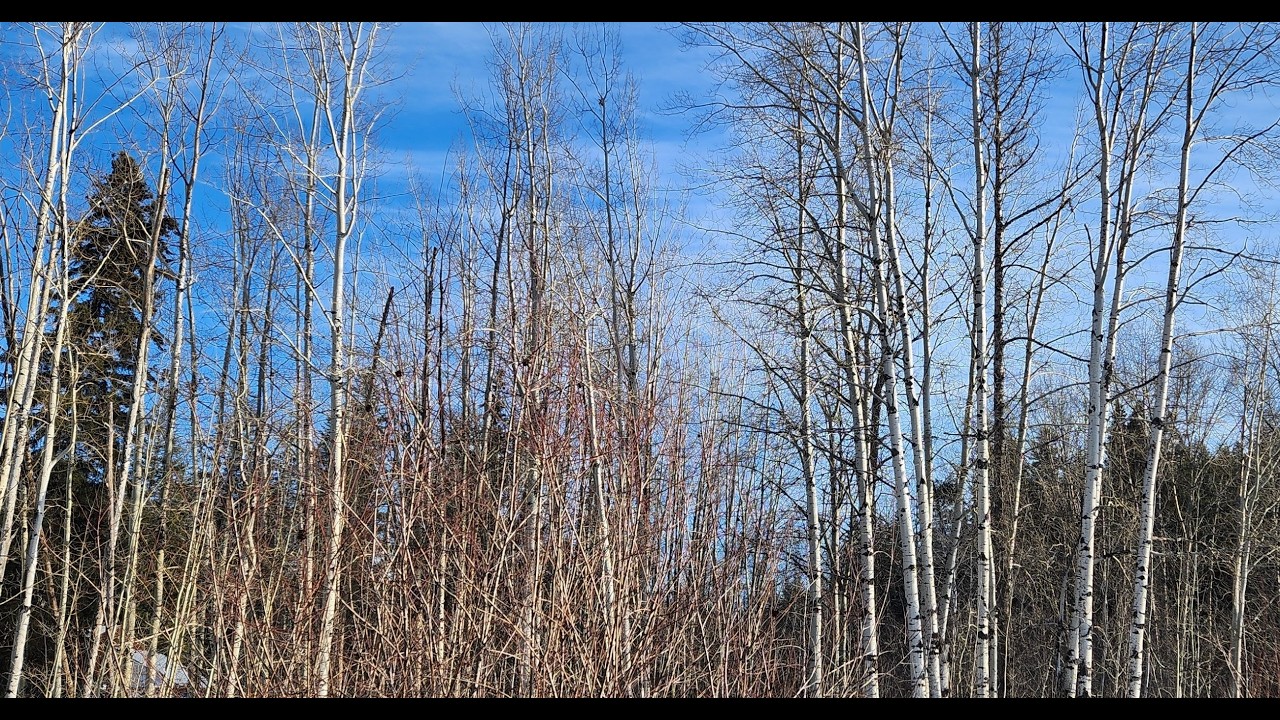 Simple Life - My Life after retirement