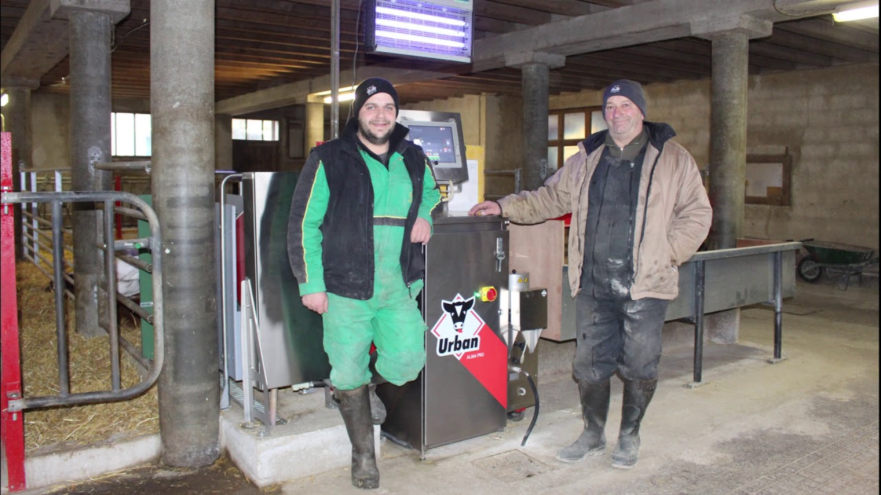 Urban tour des veaux - Alma Pro - France