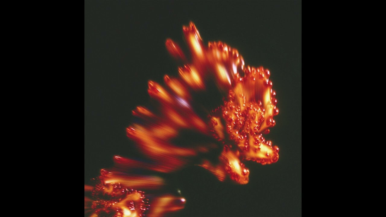 Disguised x FANK — Lost in Monochrome [DISG003]