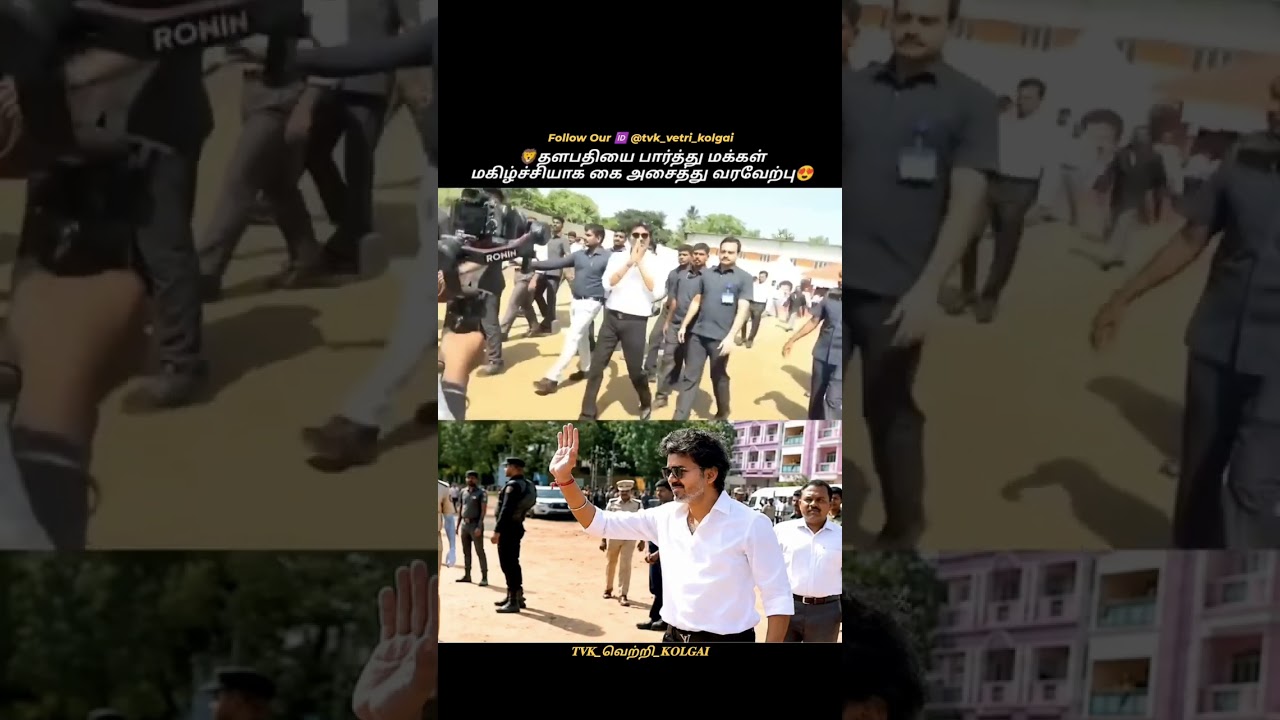 Thalapathy ❤️💛❤️🔥 #tvk #thalapathyvijay