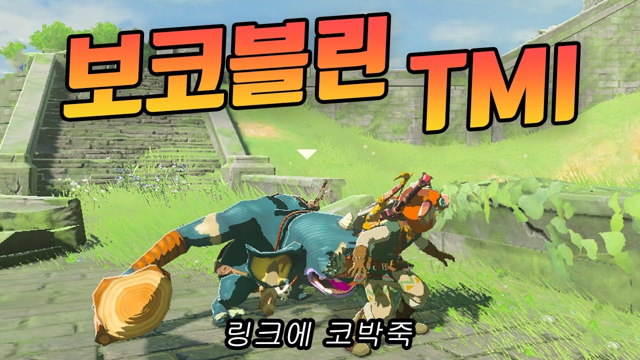 보코블린의 신기하고 뻔한 사실들 (젤다의 전설 야생의 숨결)