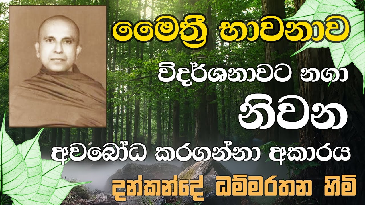 මෛත්‍රී විදර්ශනාව - දන්කන්දේ ධම්මරතන හිමි