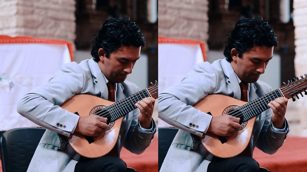 Diego Saboya   Los gemelos