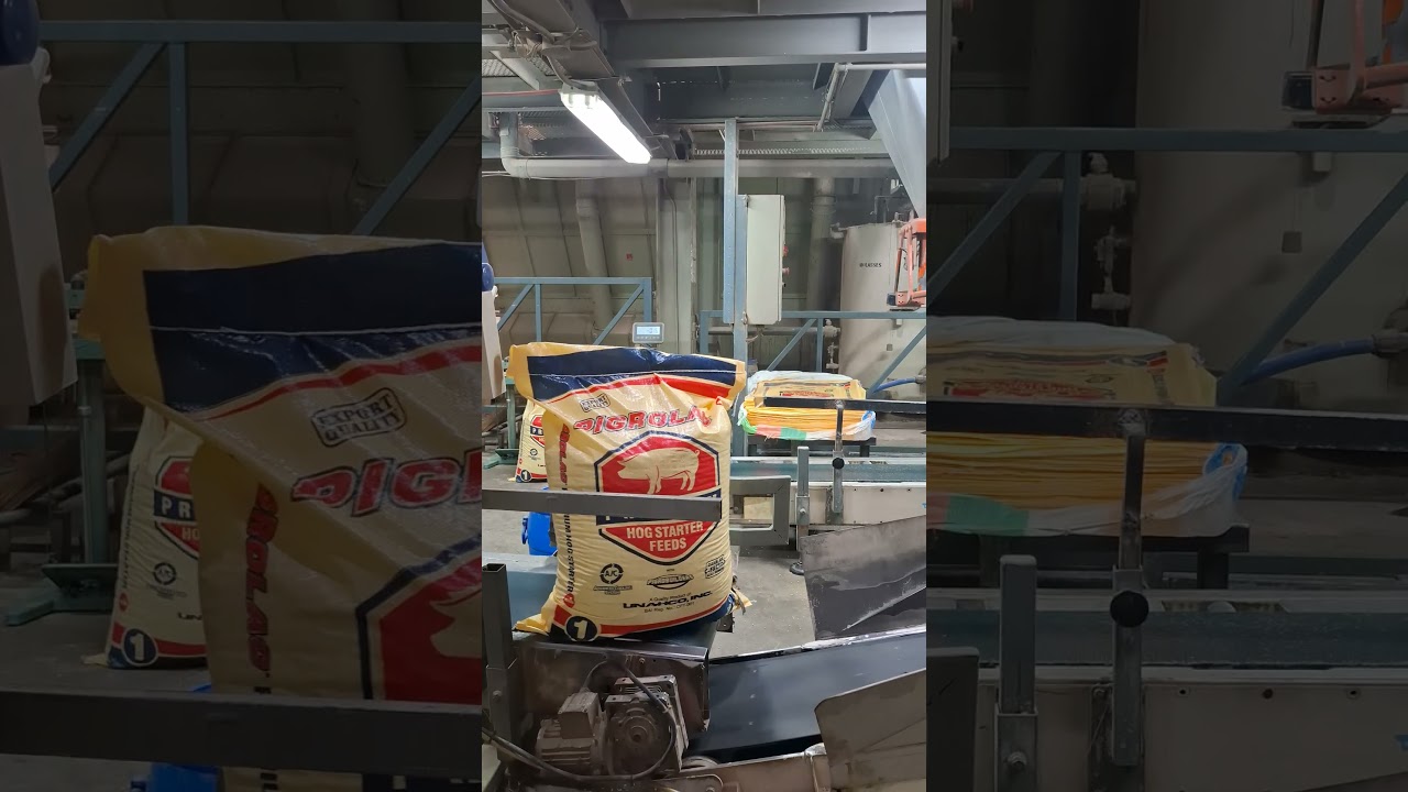 Packaging Area #pigrolac #unahcofirstclass