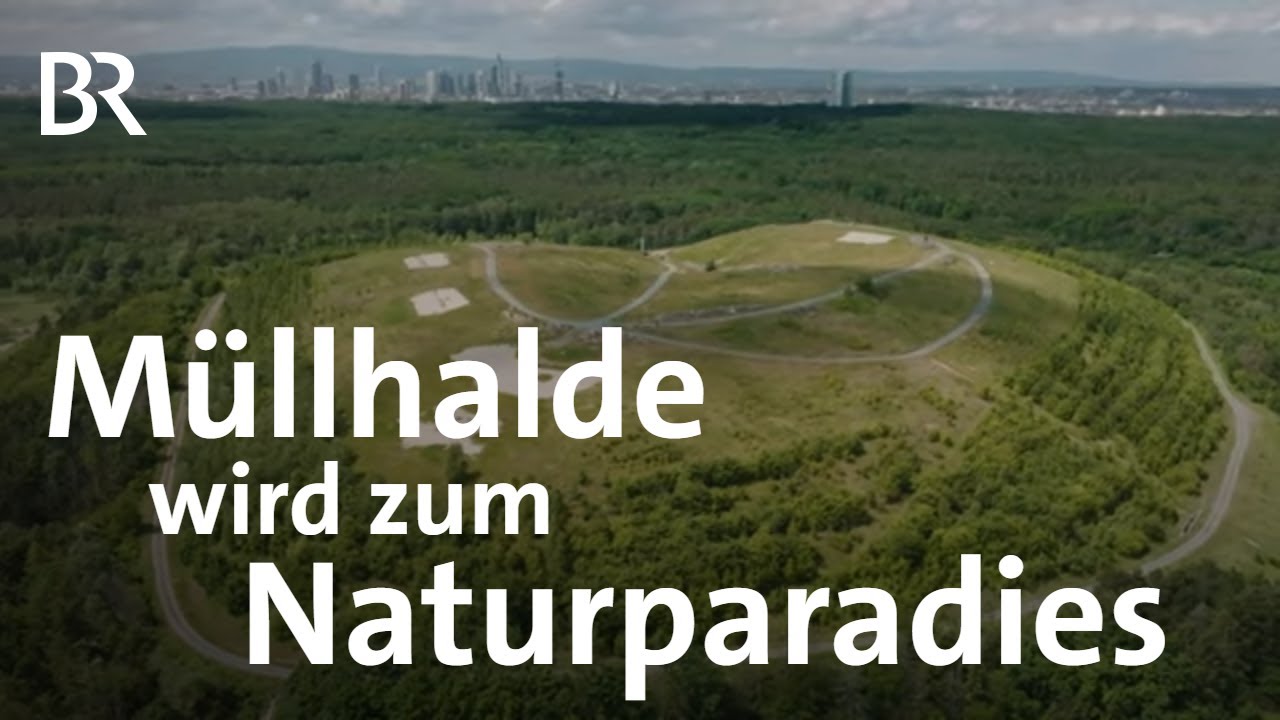 Der Natur überlassen: Die Renaturierung einer Mülldeponie  | Gute Nachrichten vom Planeten | BR