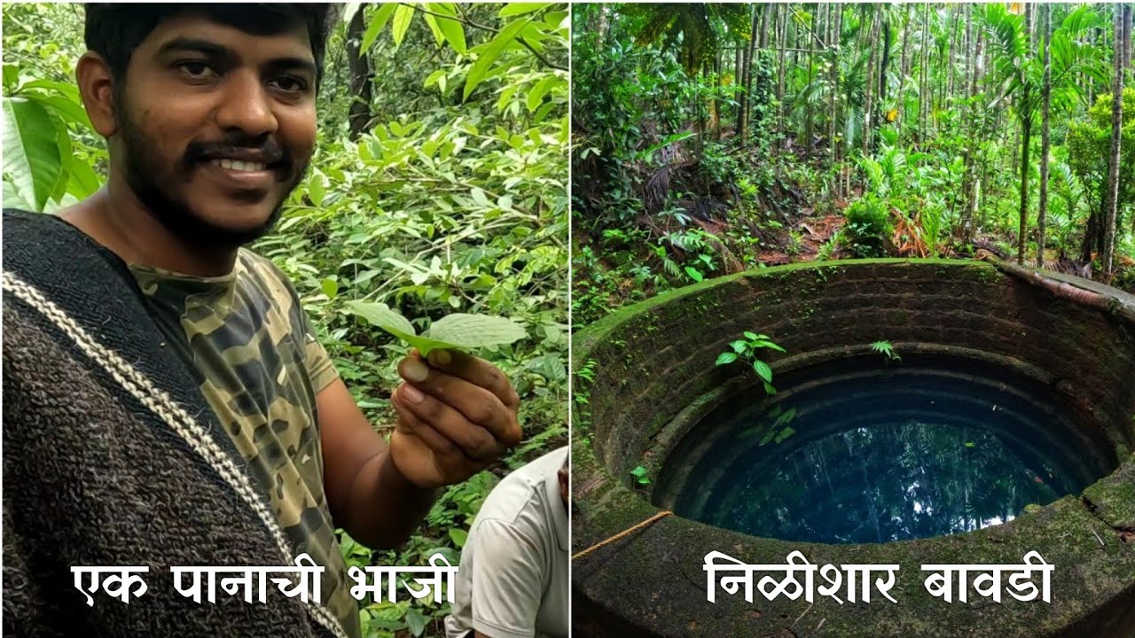 मांगर ची पावसाळी सफर|सुशेगाद जीवन