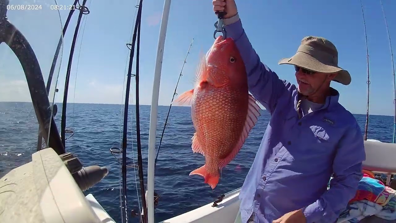 Catching big red snapper and grouper with my wife offshore on 3 14 26.