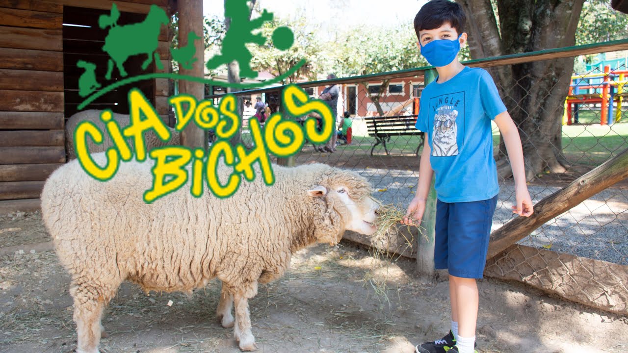 Cia dos Bichos - Um passeio muito divertido por essa Fazendinha pertinho de São Paulo