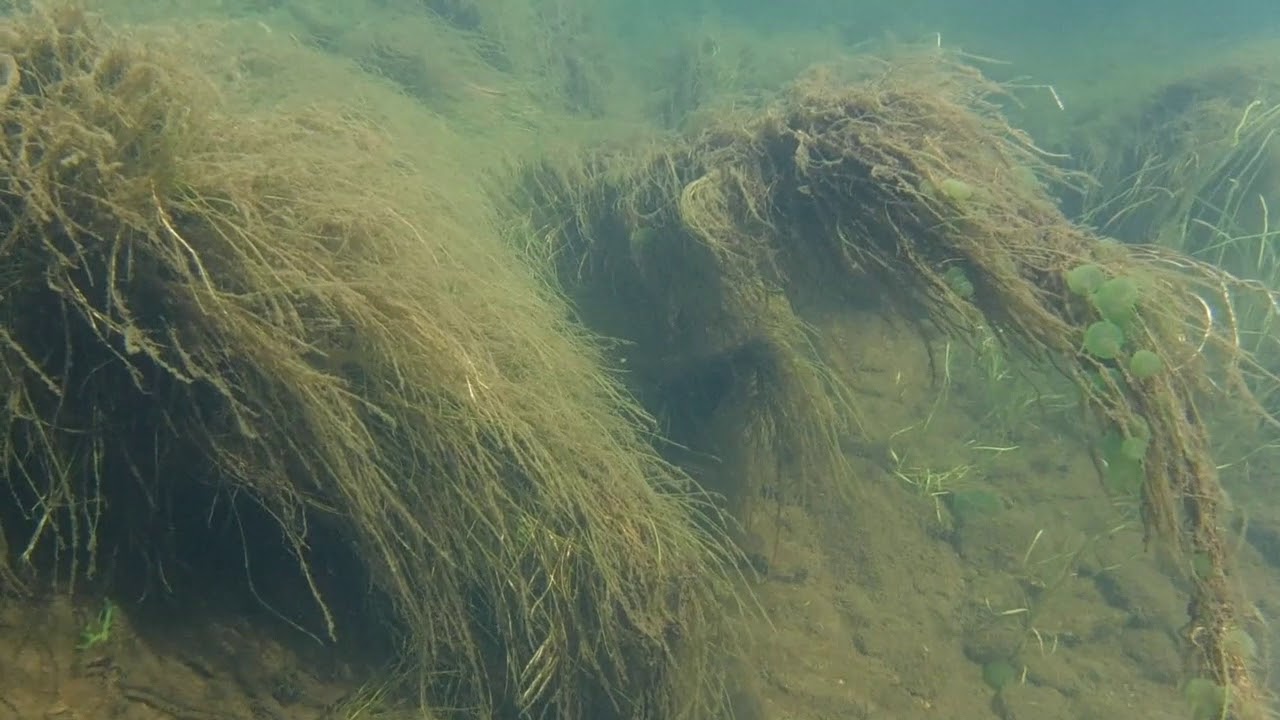 Kayaking On Llyn Dinas With A little Underwater Photography.