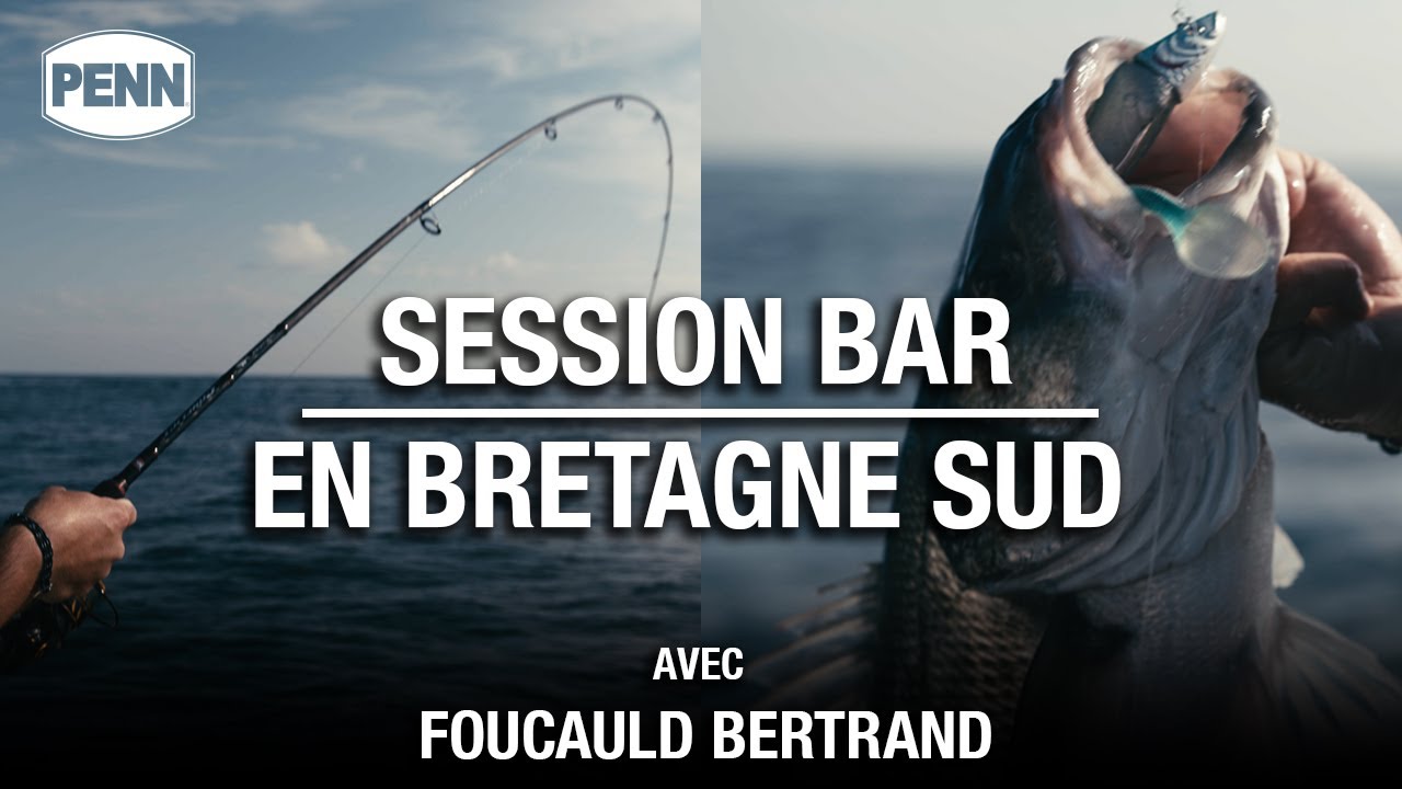 Film - Session  Pêche au bar en bretagne sud