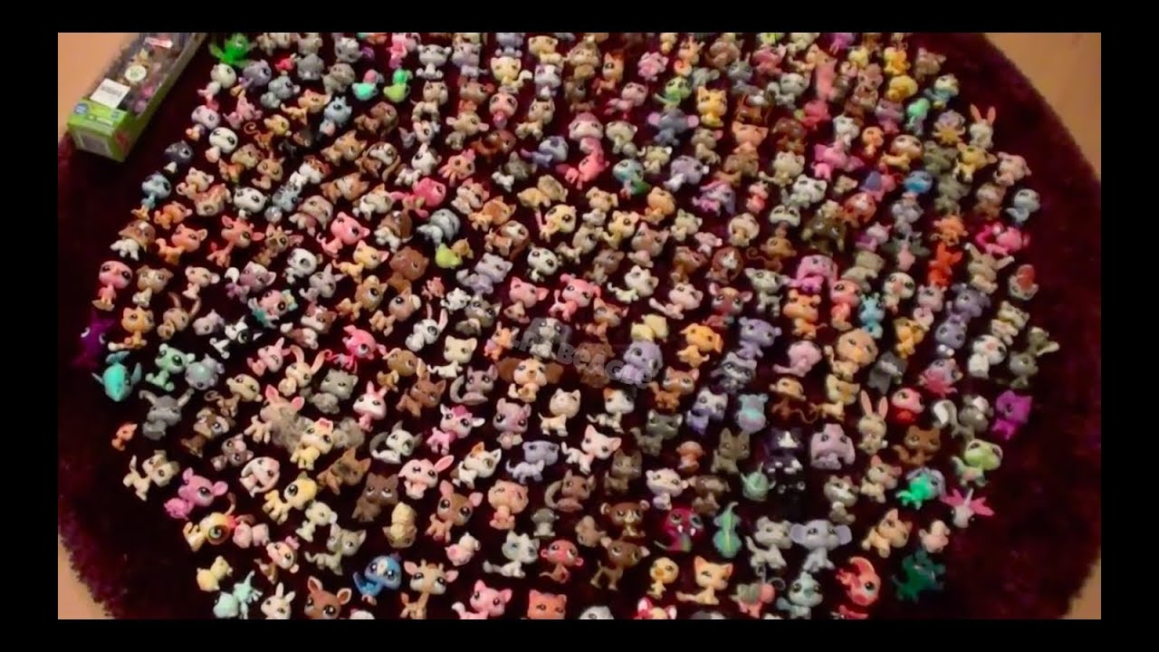 My LPS Collection 2015