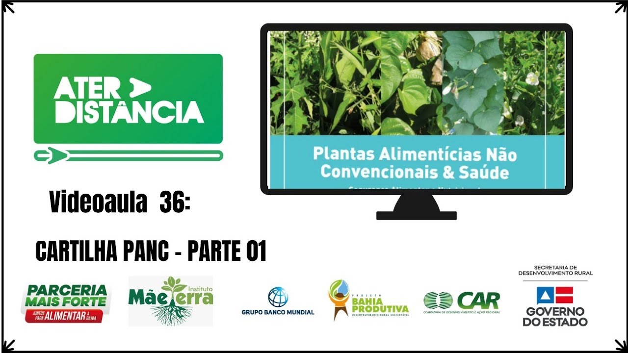 ATER A DIST&Acirc;NCIA: Videaula 36 