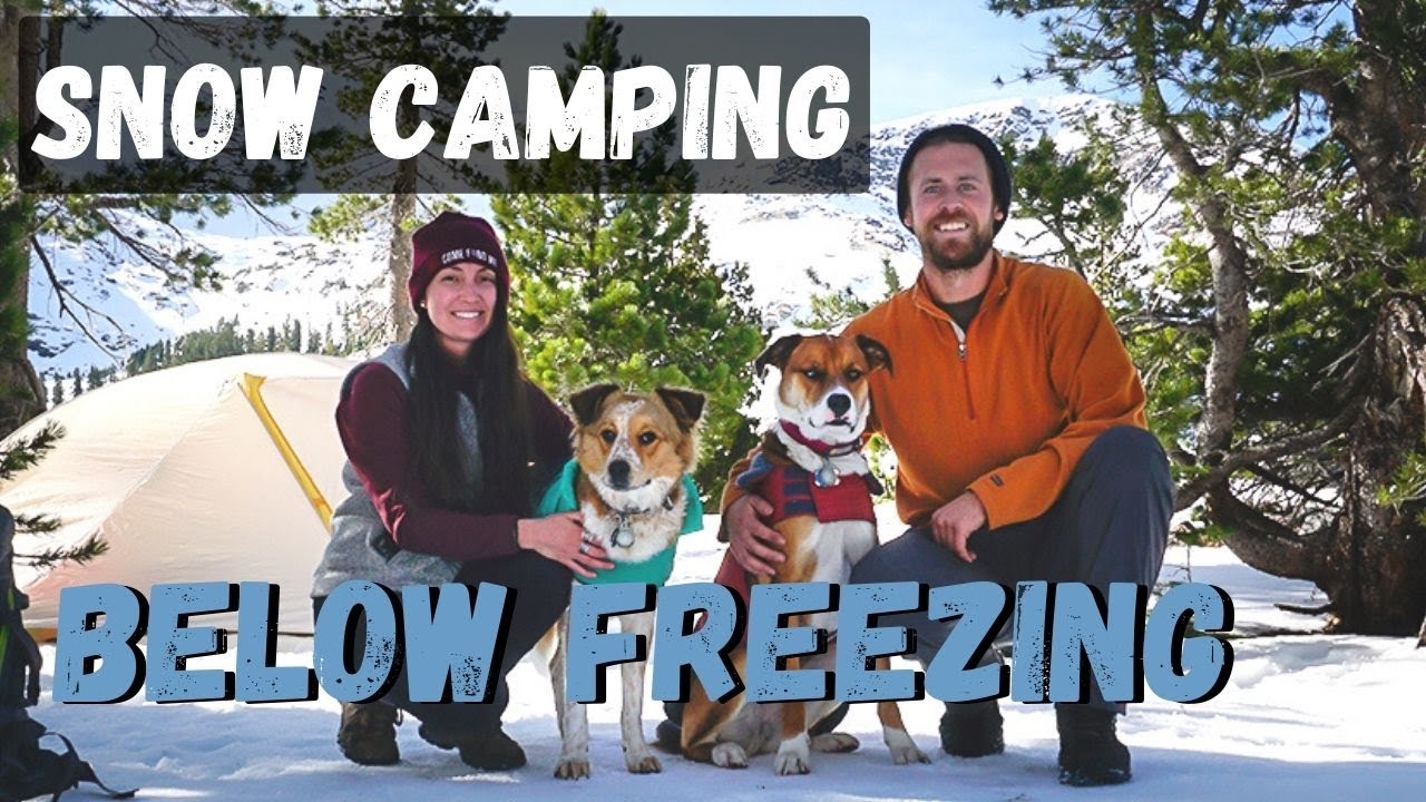 SNOW BACKPACKING with DOGS in DESOLATION WILDERNESS | South Lake Tahoe Hike