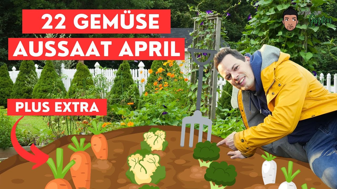 Gemüseaussaat April- diese 22 Gemüse kannst Du jetzt pflanzen