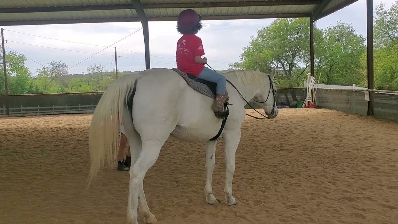Posting the Jog Beginner Horseback Riding Lessons. Trot and Post. Kids Western Saddleback Texas.
