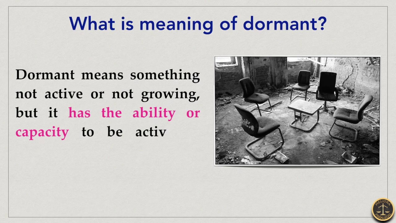 What is Dormant Company?