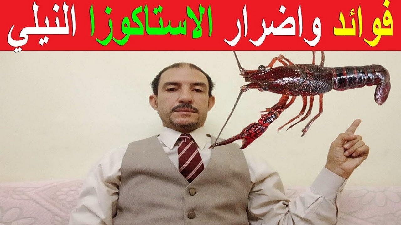 #الاستاكوزا_النيلي / معلومات مهمة جدا عن الاستاكوزا النيلي لابد ان تعرفها قبل تناولها