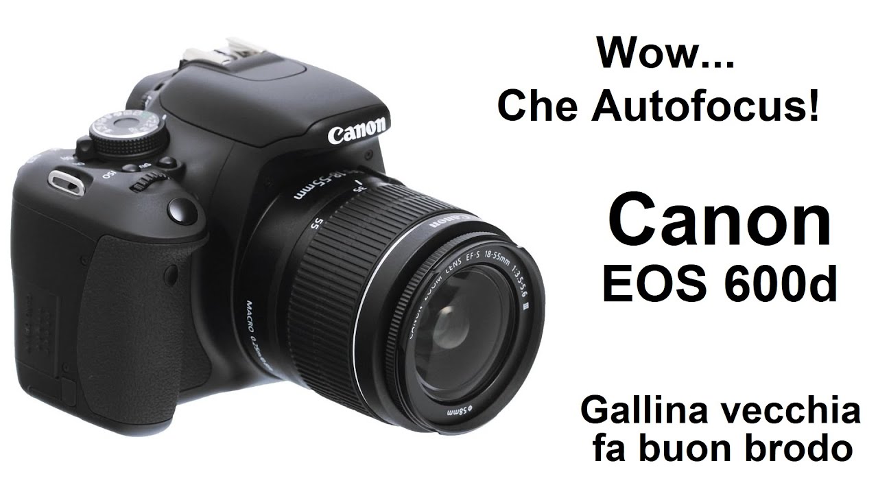 Wow! Che Autofocus! Canon 600d