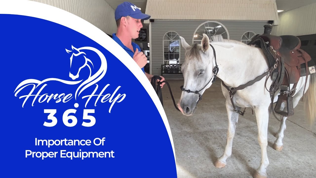 Importance Of Proper Equipment | Horse Help - Michael Gascon