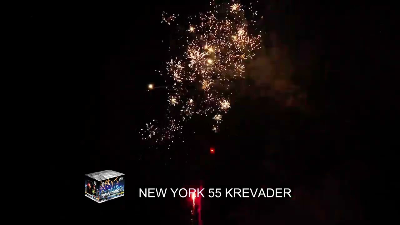 1787 New York 55 shots