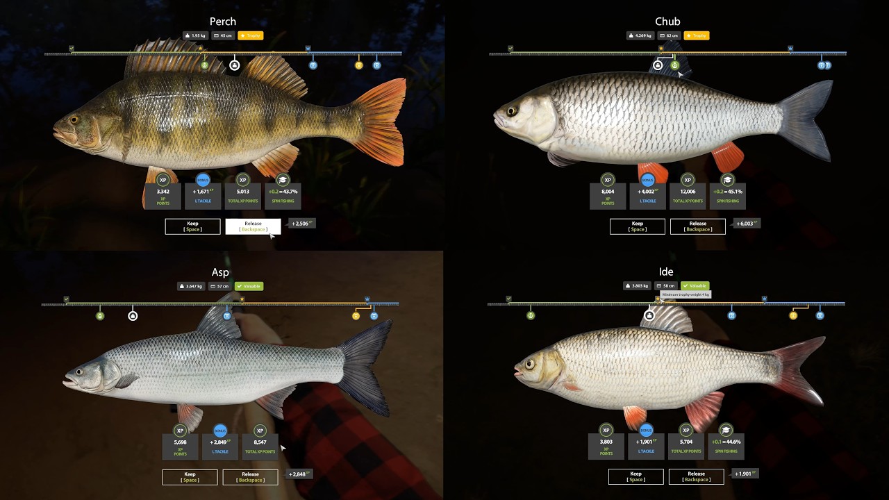 Fishing spots on river Winding Rivulet