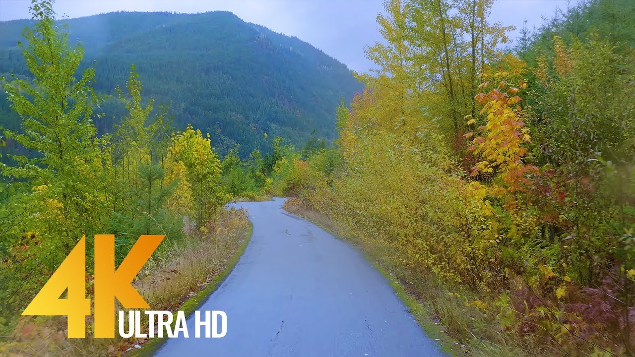 Fall Scenic Drive in 4K - Autumn Foggy Forest Road - Episode #4 (WITH MUSIC)