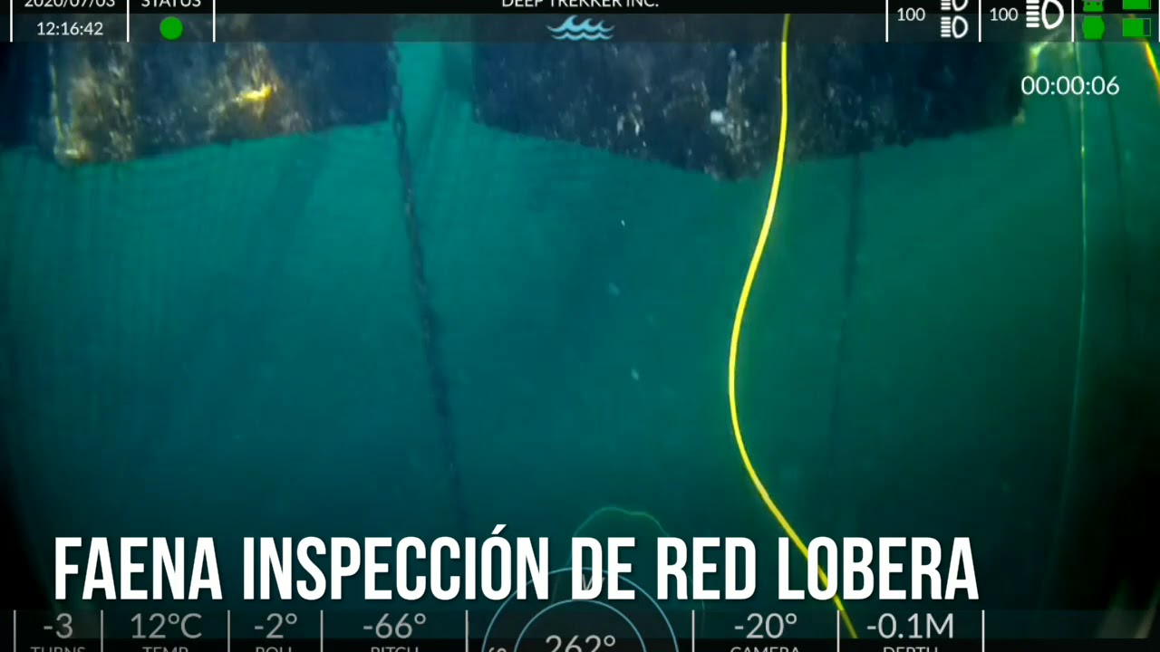 Resumen faena Inspeccion de red lobera Deep Trekker DTG3