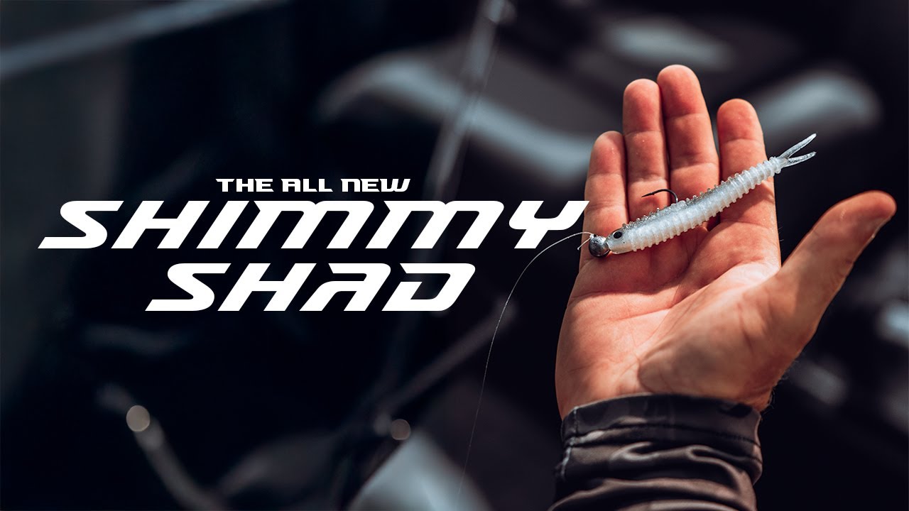 A new MINNOW SHAKING bait with a RATTLE???